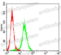 Anti-CD66c/CEACAM6 Antibody (R3K27)