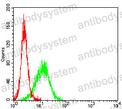 Anti-CD66c/CEACAM6 Antibody (R3K28)