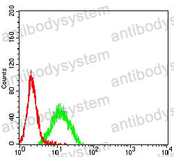 Anti-CD96 Antibody (R3K29)