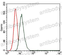 Anti-THPO Antibody (R3K31)