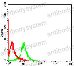 Anti-CD79β/CD79B Antibody (R3K34)