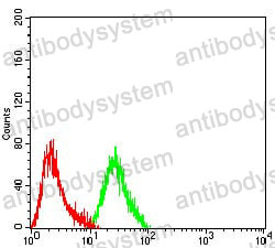 Anti-MLH1 Antibody (R3K36)