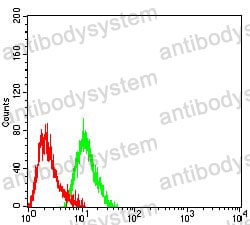 Anti-MLH1 Antibody (R3K37)