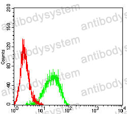 Anti-PMEL17/ME20M Antibody (R3K47)