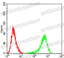 Anti-CD200 Antibody (R3K52)