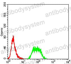 Anti-NAA10 Antibody (R3K57)