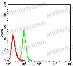 Anti-P2RY2 Antibody (R3K58)