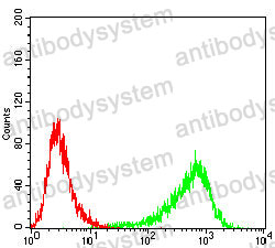 Anti-HNF4A Antibody (R3K59)