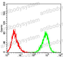 Anti-TNFSF9/4-1BBL Antibody (R3K62)