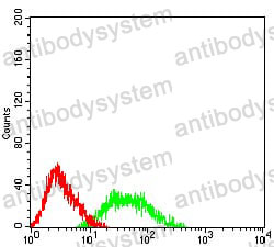 Anti-CD192/CCR2 Antibody (R3K65)