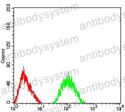 Anti-GRIA2/GluR-2 Antibody (R3K73)