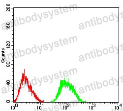 Anti-GRIA2/GluR-2 Antibody (R3K74)