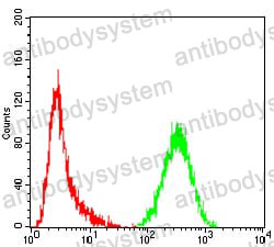 Anti-CASP3/Caspase-3 Antibody (R3K79)