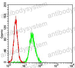 Anti-WAS Antibody (R3K91)