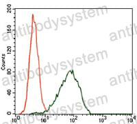 Anti-CDKN2A/p16INK4a Antibody (R3K95)