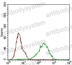 Anti-CDKN2A/p16INK4a Antibody (R3K96)