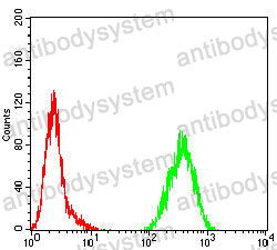 Anti-CDKN2A/p16INK4a Antibody (R3K98)