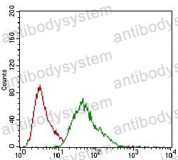 Anti-CD146/MCAM Antibody (R3L01)