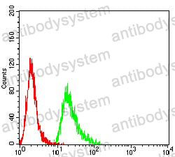 Anti-MSH2 Antibody (R3L04)