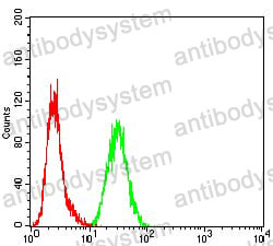 Anti-MSH2 Antibody (R3L05)