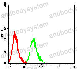 Anti-MSH2 Antibody (R3L06)