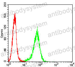Anti-MSH2 Antibody (R3L07)