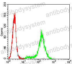 Anti-MAGEA3 Antibody (R3L12)