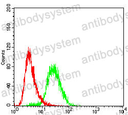 Anti-MAGEA4 Antibody (R3L14)