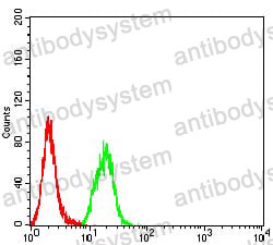 Anti-SYK Antibody (R3L19)