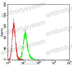 Anti-SYK Antibody (R3L20)