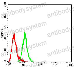 Anti-CD134/TNFRSF4/OX40 Antibody (R3L21)