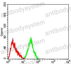 Anti-CHRNA4 Antibody (R3L27)