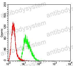 Anti-TNNT2 Antibody (R3L32)