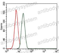 Anti-TNNT2 Antibody (R3L30)