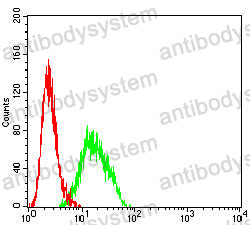 Anti-TNNT2 Antibody (R3L31)