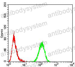 Anti-CBX5 Antibody (R3L35)