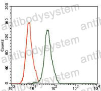 Anti-MAPK8 Antibody (R3L39)