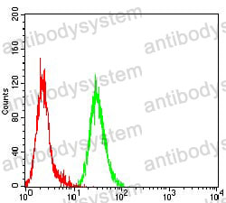 Anti-MAPK9 Antibody (R3L40)