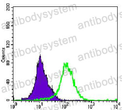 Anti-MAP2K4 Antibody (R3L42)