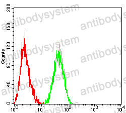 Anti-Ki67/MKI67 Antibody (R3L46)
