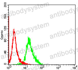 Anti-Ki67/MKI67 Antibody (R3L44)