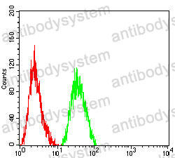 Anti-Ki67/MKI67 Antibody (R3L45)