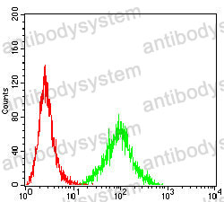 Anti-CCR10 Antibody (R3L49)
