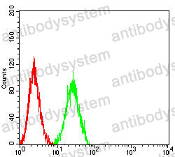 Anti-CCR10 Antibody (R3L48)