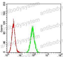 Anti-5HT3/HTR3A Antibody (R3L50)
