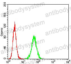 Anti-5HT3/HTR3A Antibody (R3L51)