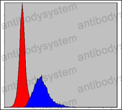 Anti-CRK Antibody (R3L52)