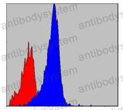 Anti-CRKL Antibody (R3L54)