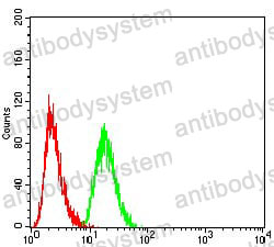 Anti-MAP2K3 Antibody (R3L55)