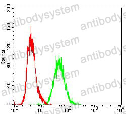 Anti-RAP1GAP Antibody (R3L60)